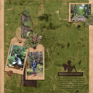 Enchanted Forest