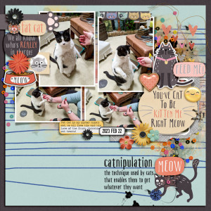 Catnipulation