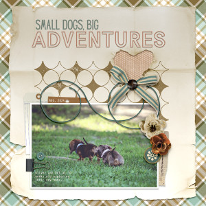 Small Dogs... Big Adventures