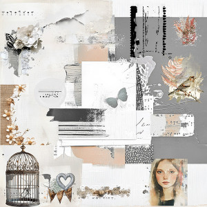 Lilypad 2024 10 Nbk Mood Board