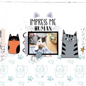 Impress Me Human