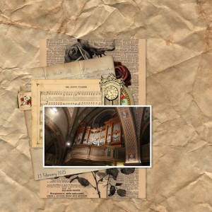 250223_organ