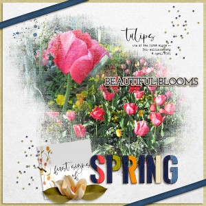 Spring
