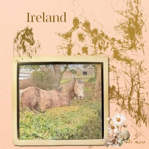 Lilypad March Challenges -NBK Designs Marcj Challenge