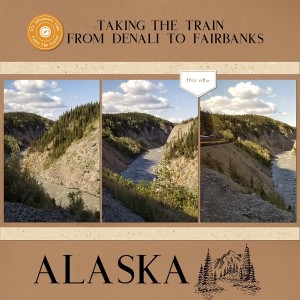 Alaska Train From Denali To Fairbanks