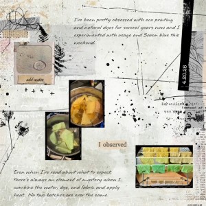 Natural Dyeing