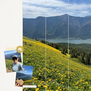 Wildflowers On Dog Mountain