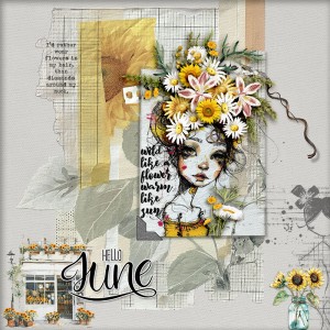 SOSN_may28_NBK_Hello June