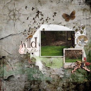 Wild & Free
