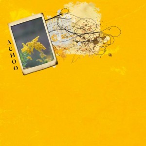 Golden Rod Achoo