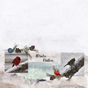 Winter Visitors