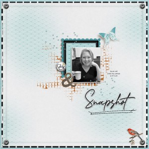 Snapshot