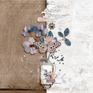 Rachel's Mixed Media Challenge - June 2025