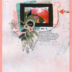 The Assembles - Folio