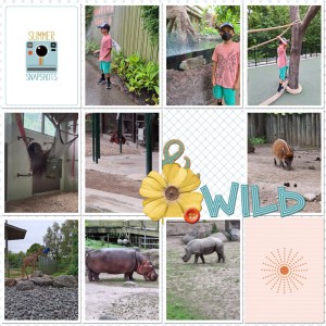 Jagruti-Patel-NGD-Summer-Snapshots-July-4-2025-BYOC-800
