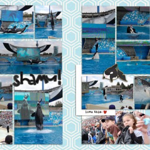 shamu