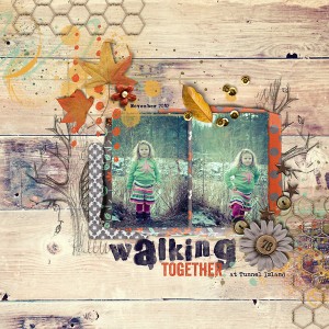 Walking at Tunnel Island