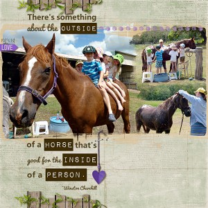 MOC - Jan 17 Nothing like a horse