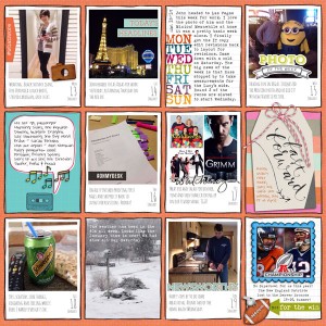January 2014 Review p2