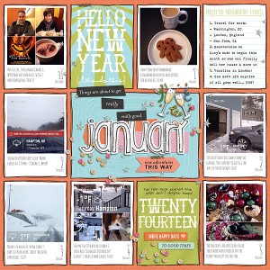 January 2014 Review p1