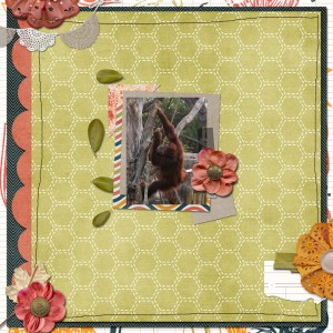 Orangutuan
