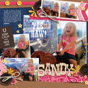 Sandy