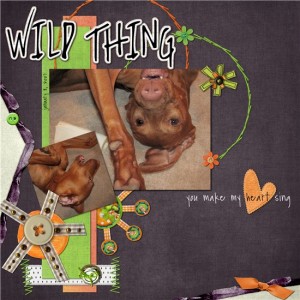 wild thing
