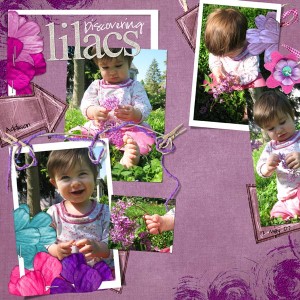 Discovering Lilacs