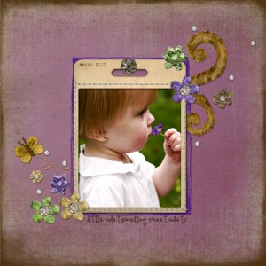 Sweet Violets