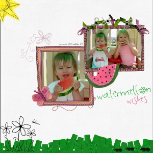 Watermellon Wishes