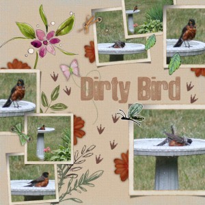 Dirty Bird