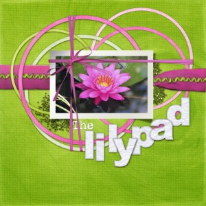The LilyPad