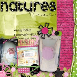 Nature's Nest Baby Hammock