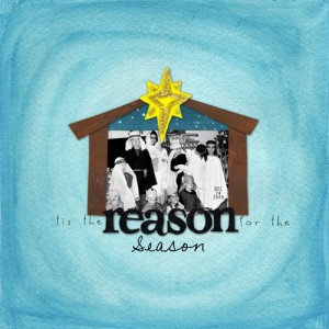 the reason