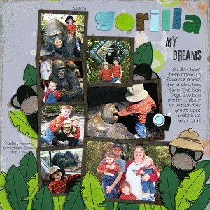 Gorilla My Dreams