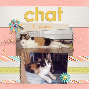 Chat, 2ans
