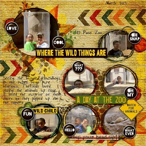 wild groundhogs