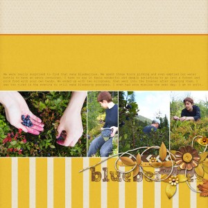Picking blueberries