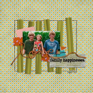 Family Happinesses