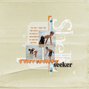 Shell Seeker