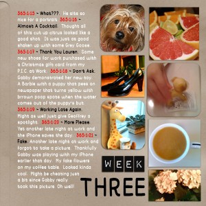 P365 - Week Three