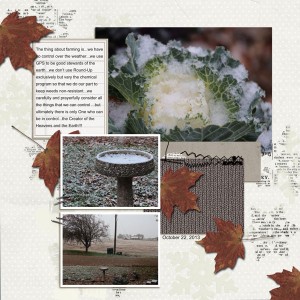 Harvest Snow