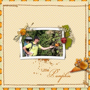 Little Pumpkins