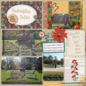 butterfly garden