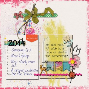 2014 Wish List