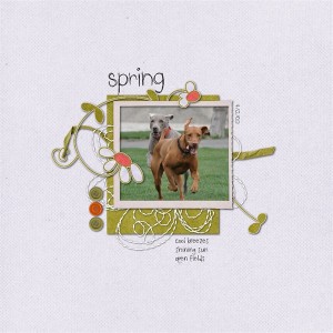 spring
