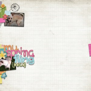 My Spring Fling