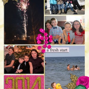 Cover Project Life 2014