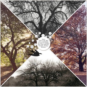 Oaks