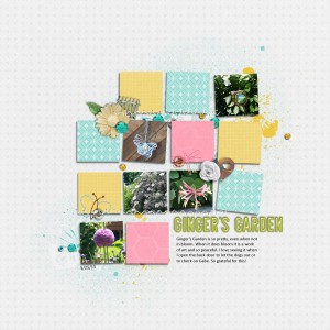 Ginger's garden